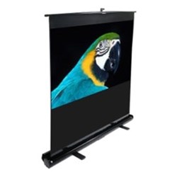 Elite Screens - ES-F100XWH1