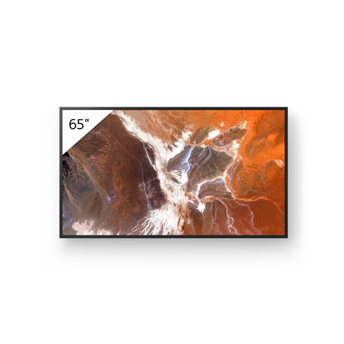 65BZ30P