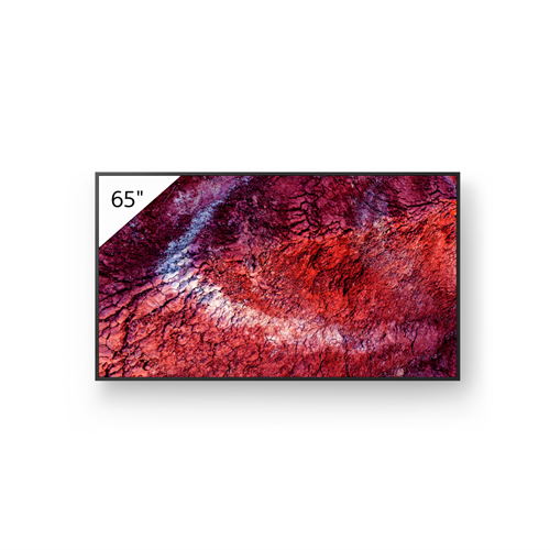 65BZ40P