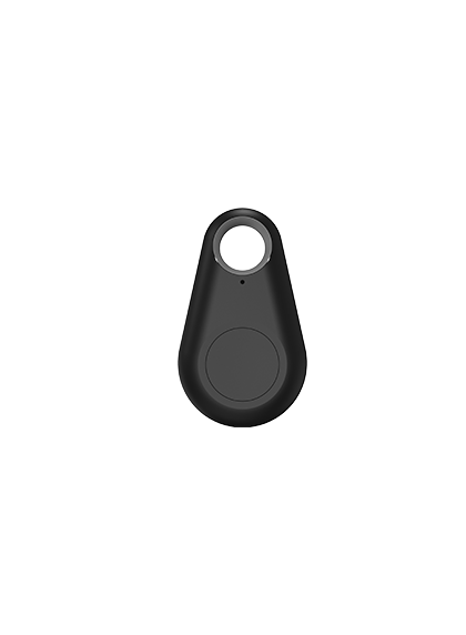 Bluetooth Access Fob