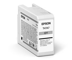 Epson Ultrachrome PRO10 - Gray Ink Cartridge for P906