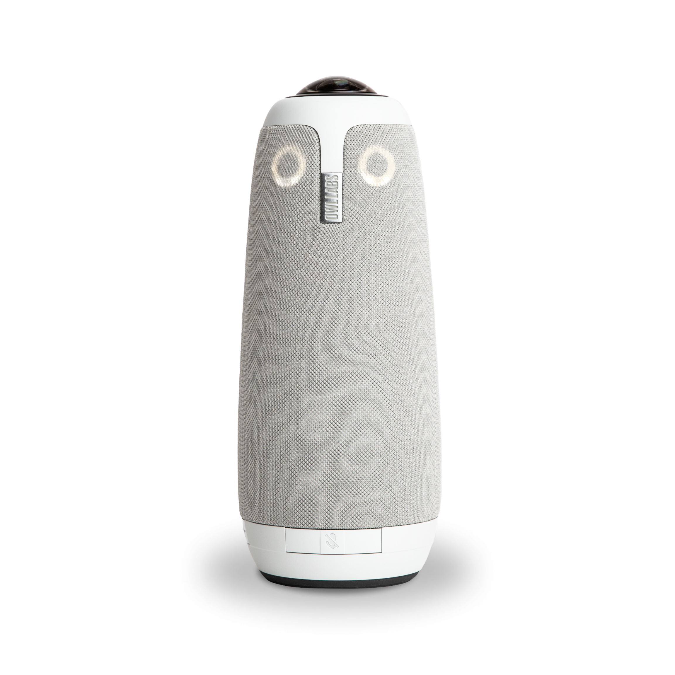 Meeting Owl 3