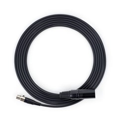 Algo-2504-0481-scaled-768x768